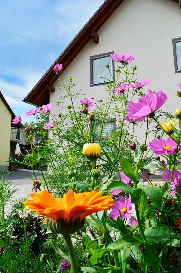 שטובנברג Haus Rosy Ferienwohnung מראה חיצוני תמונה